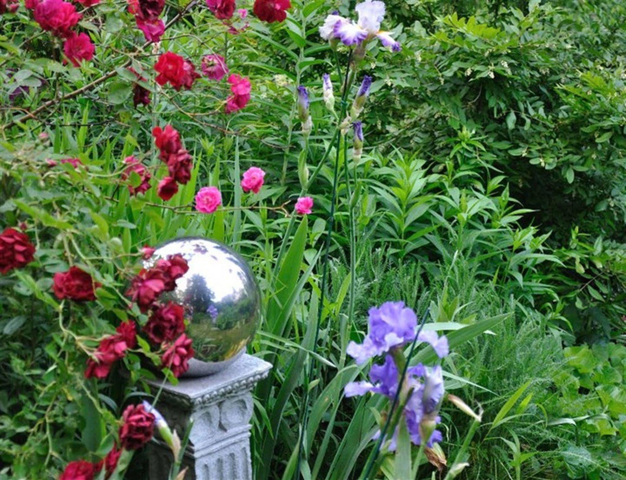 Wild Wisteria Bed & Breakfast Chadds Ford ภายนอก รูปภาพ