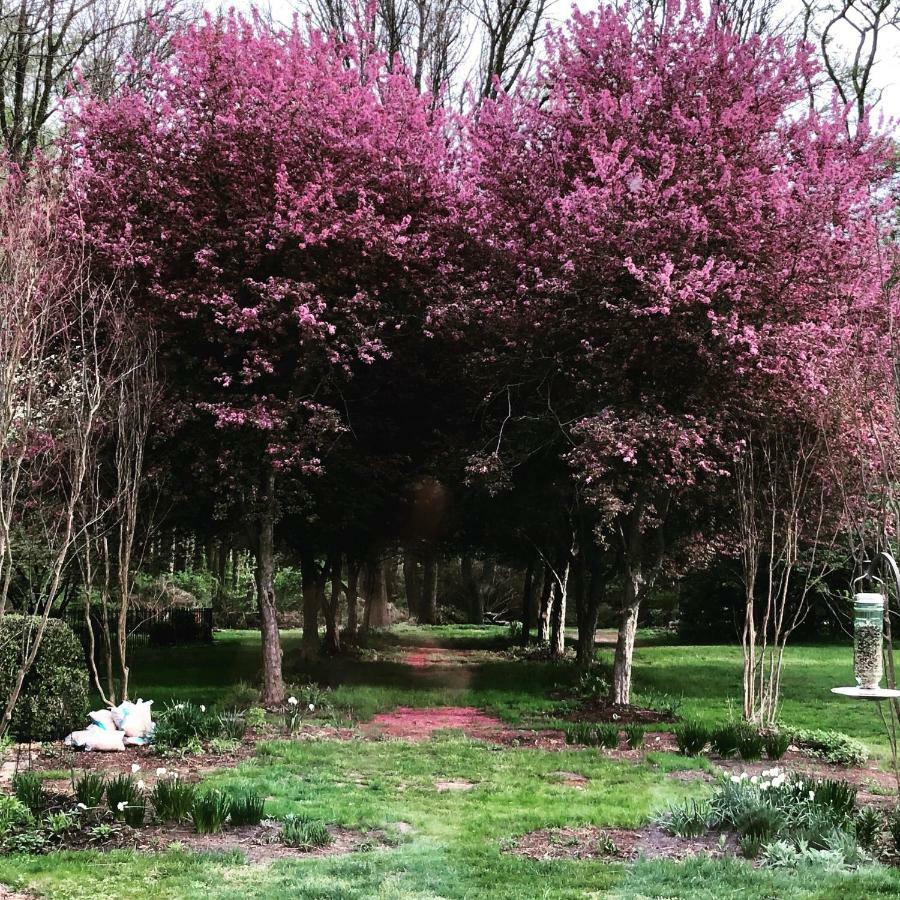 Wild Wisteria Bed & Breakfast Chadds Ford ภายนอก รูปภาพ